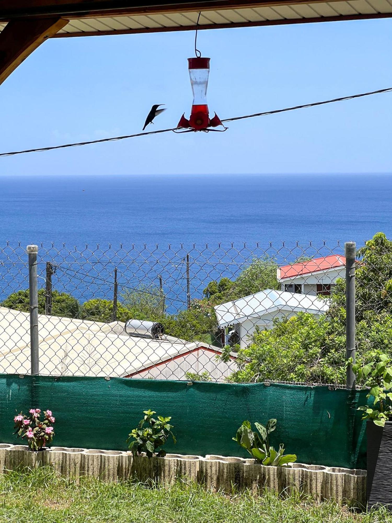 ル・カルベ Casa Francoisヴィラ エクステリア 写真
